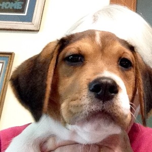 Fundraising Page: Susan Bence